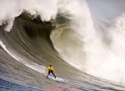 咪咕体育直播-伊布在欧冠赛场的进球数据统计与高光时刻