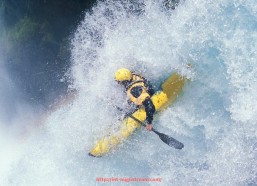 咪咕体育直播-中北美洲冠军联赛球队在2025年世俱杯中的表现解析