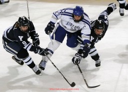 咪咕体育直播-勇士队对战火箭队现场直播地址合集